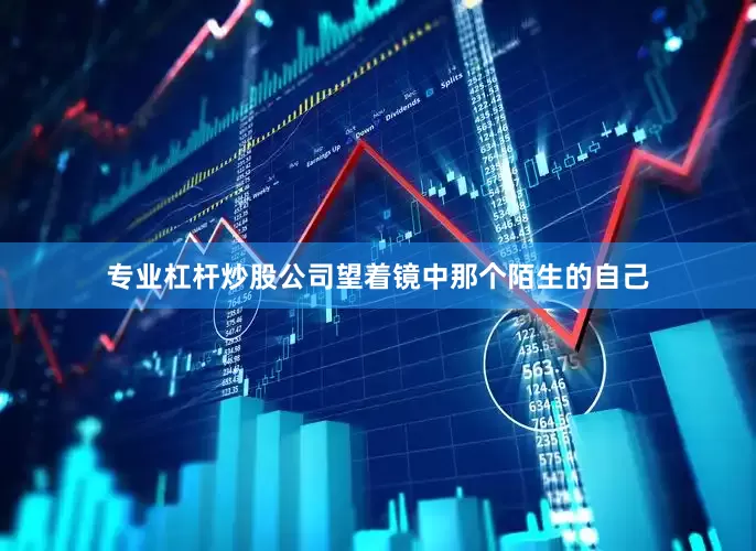专业杠杆炒股公司望着镜中那个陌生的自己