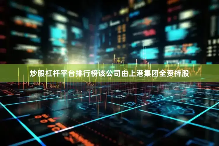 炒股杠杆平台排行榜该公司由上港集团全资持股